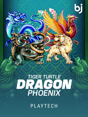 Tiger Turtle Dragon Phoenixpng